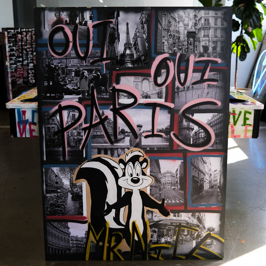 OUI OUI PARIS $3700 - ARTBYMRNICE